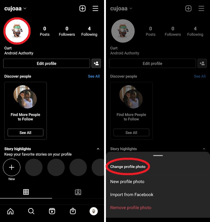 adding Instagram dynamic profile picture